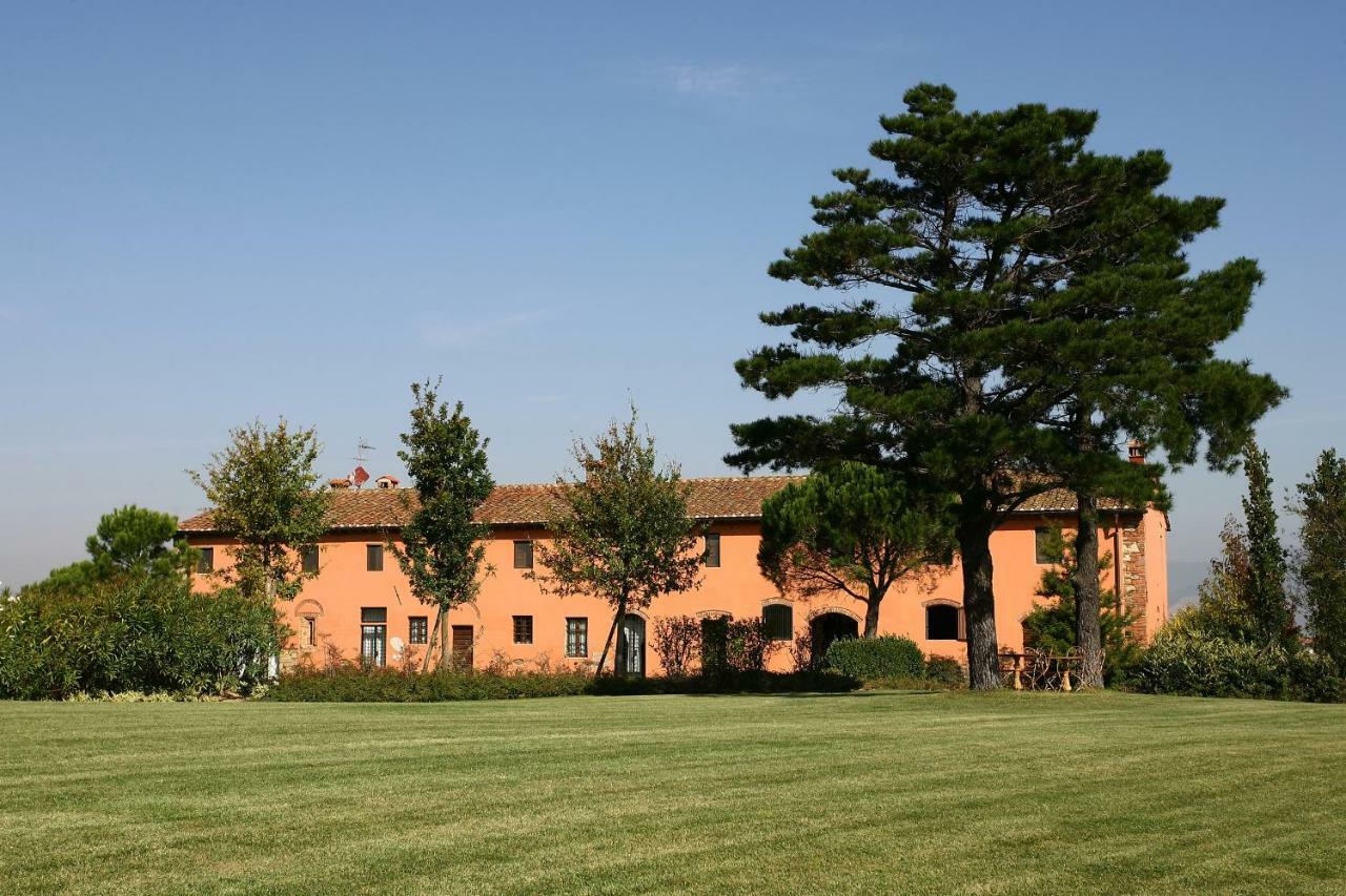 La Magnifica B&B Fauglia Luaran gambar