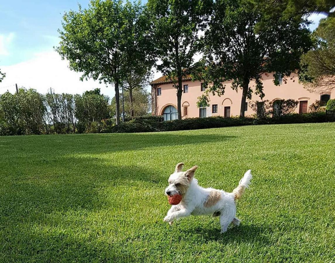 La Magnifica B&B Fauglia Luaran gambar